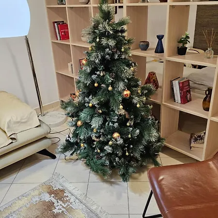 Center 12 Apartment