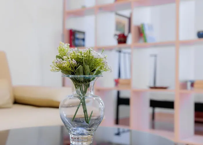 Center 12 * Тирана