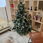 Center 12 Apartment